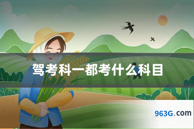 驾考科一都考什么科目