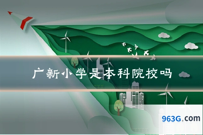 广新小学是本科院校吗