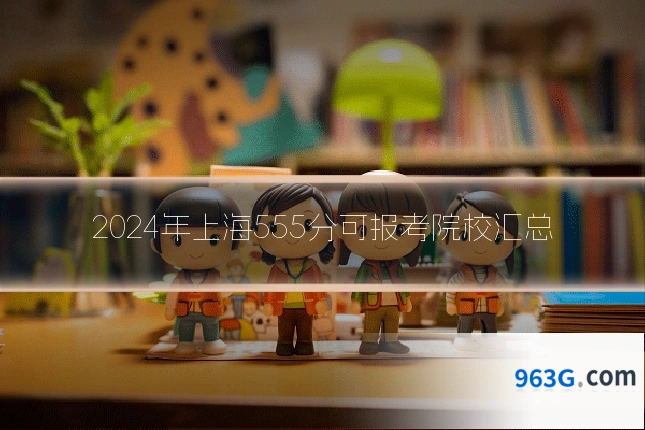 2024年上海555分可报考院校汇总