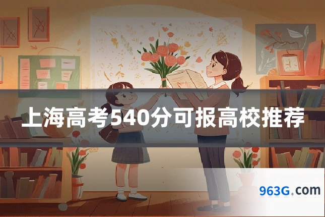 上海高考540分可报高校推荐