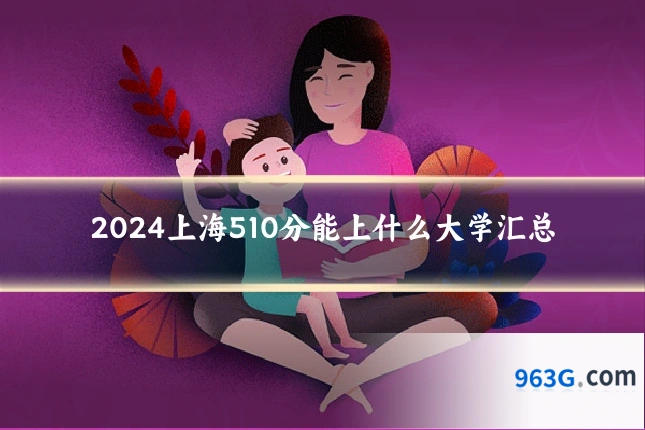 2024上海510分能上什么大学汇总