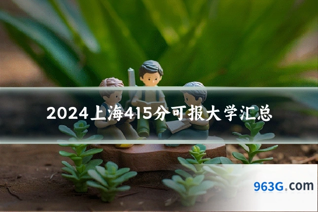 2024上海415分可报大学汇总