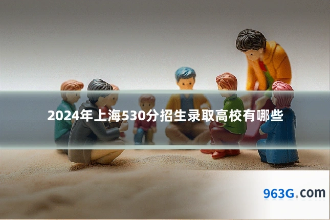 2024年上海530分招生录取高校有哪些
