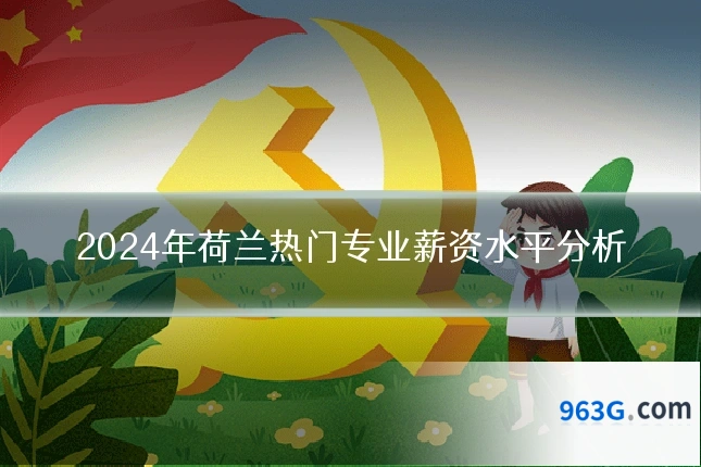 2024年荷兰热门专业薪资水平分析