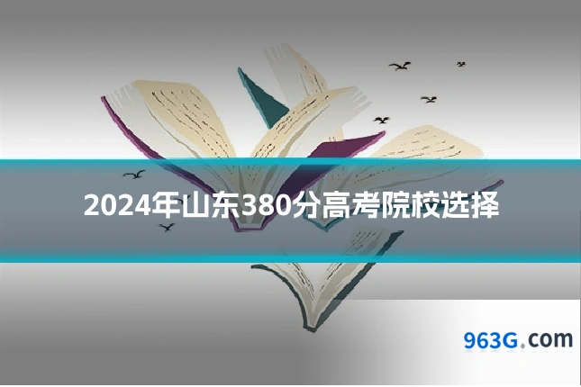 2024年山东380分高考院校选择