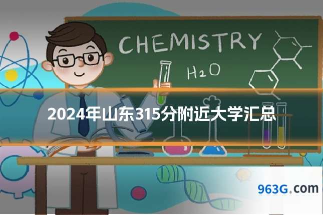 2024年山东315分附近大学汇总