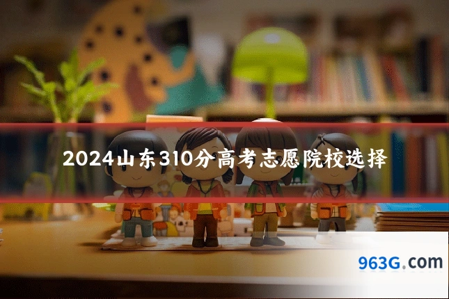 2024山东310分高考志愿院校选择