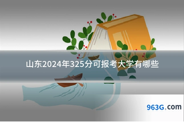 山东2024年325分可报考大学有哪些