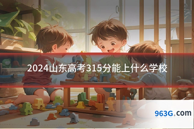 2024山东高考315分能上什么学校
