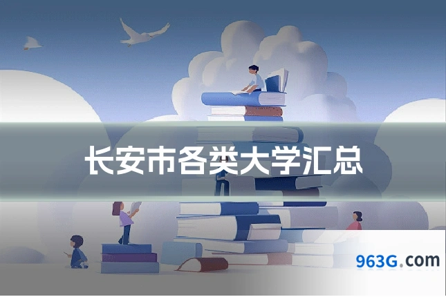 长安市各类大学汇总