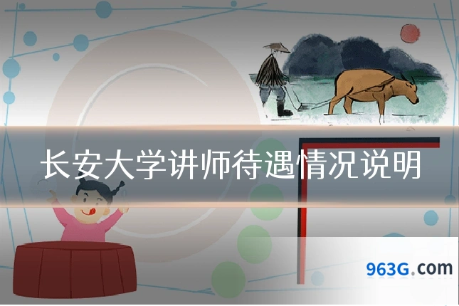 长安大学讲师待遇情况说明