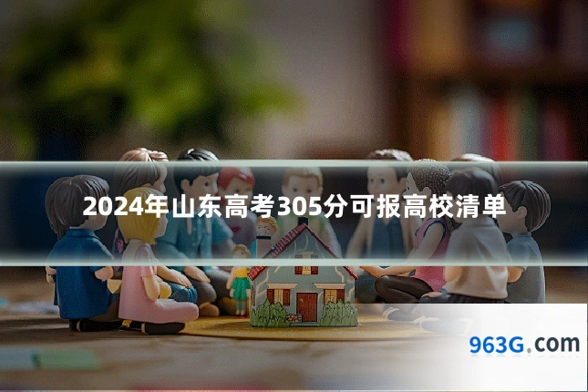 2024年山东高考305分可报高校清单