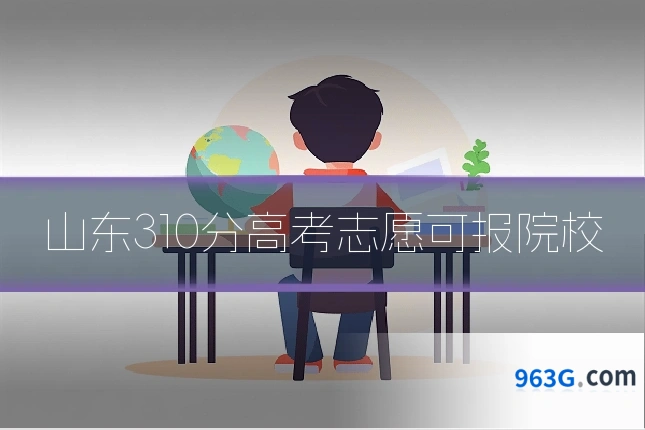 山东310分高考志愿可报院校