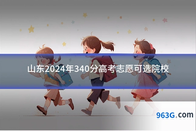 山东2024年340分高考志愿可选院校