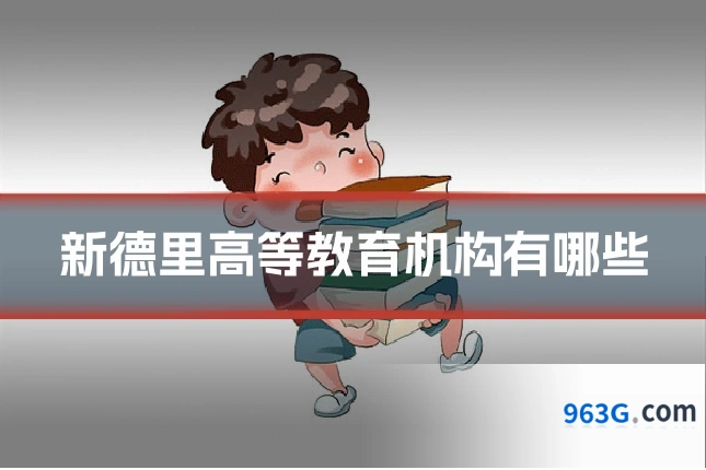 新德里高等教育机构有哪些