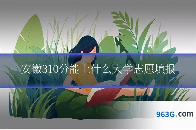 安徽310分能上什么大学志愿填报