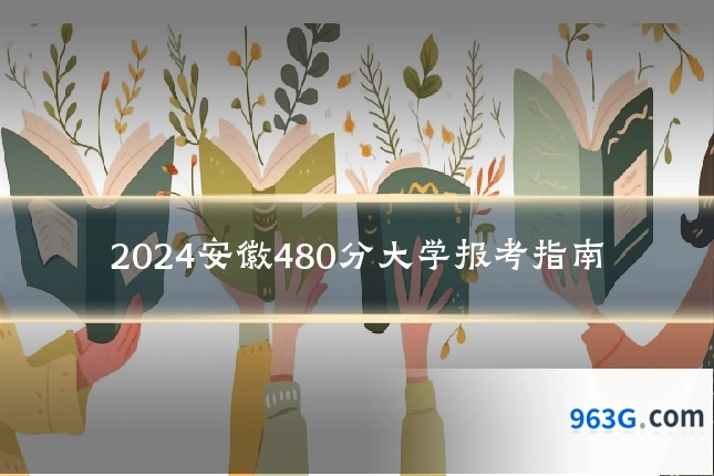 2024安徽480分大学报考指南