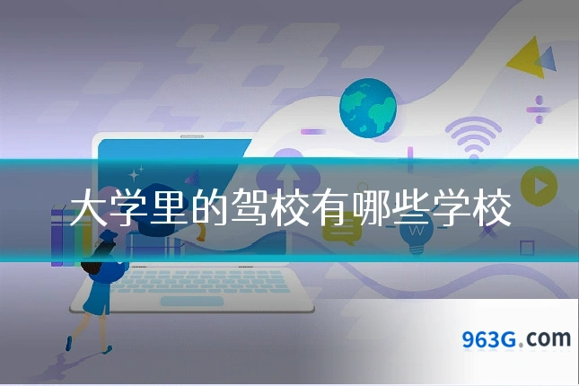 大学里的驾校有哪些学校