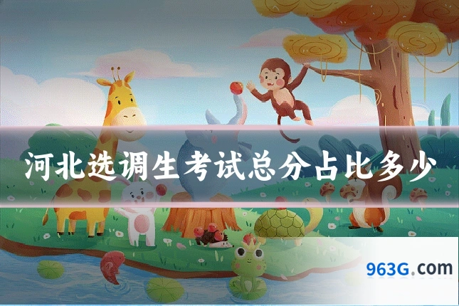 河北选调生考试总分占比多少