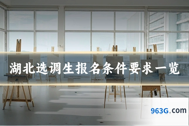 湖北选调生报名条件要求一览
