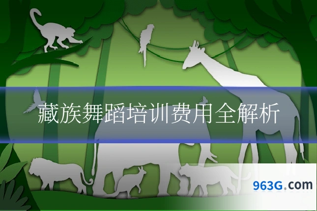 藏族舞蹈培训费用全解析