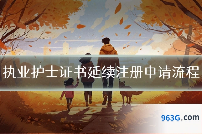 执业护士证书延续注册申请流程