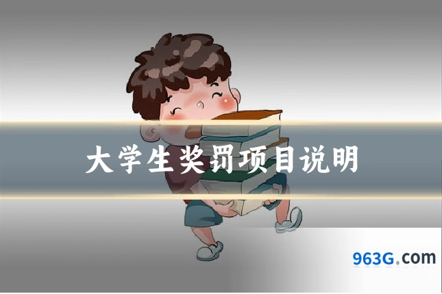 大学生奖罚项目说明