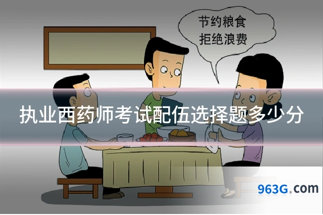 执业西药师考试配伍选择题多少分