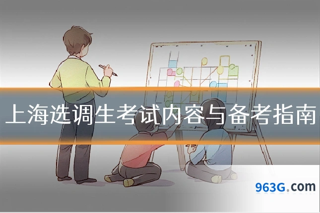 上海选调生考试内容与备考指南