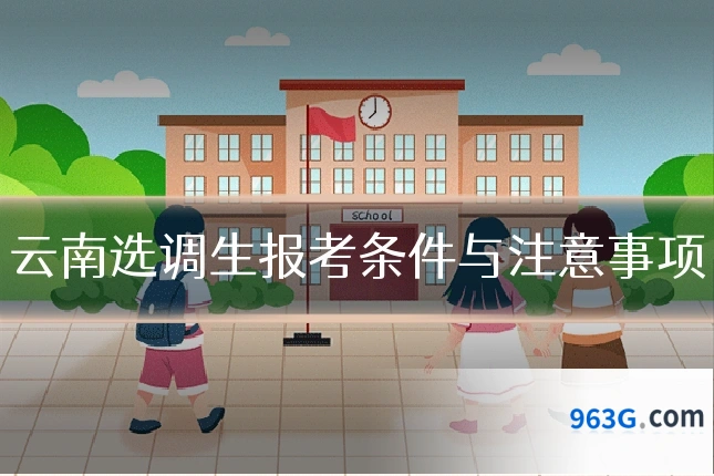 云南选调生报考条件与注意事项