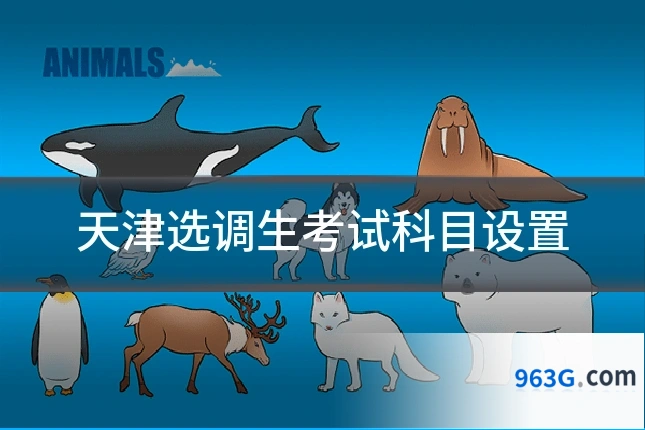 天津选调生考试科目设置