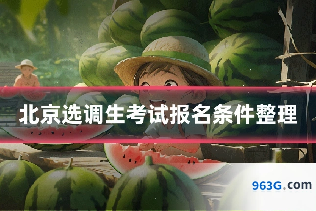 北京选调生考试报名条件整理