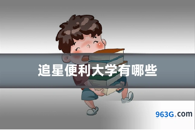 追星便利大学有哪些