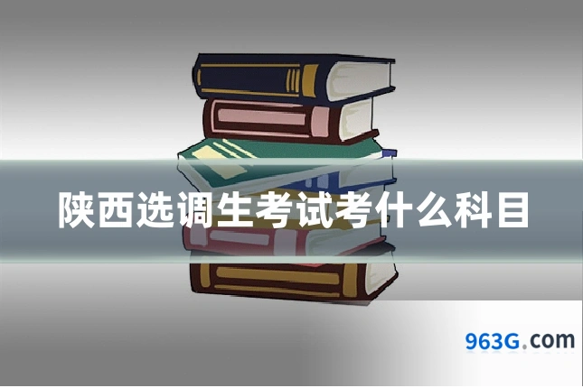 陕西选调生考试考什么科目