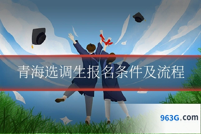 青海选调生报名条件及流程