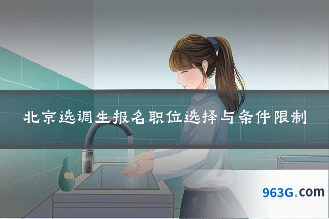 北京选调生报名职位选择与条件限制