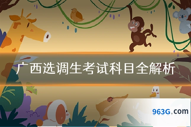 广西选调生考试科目全解析