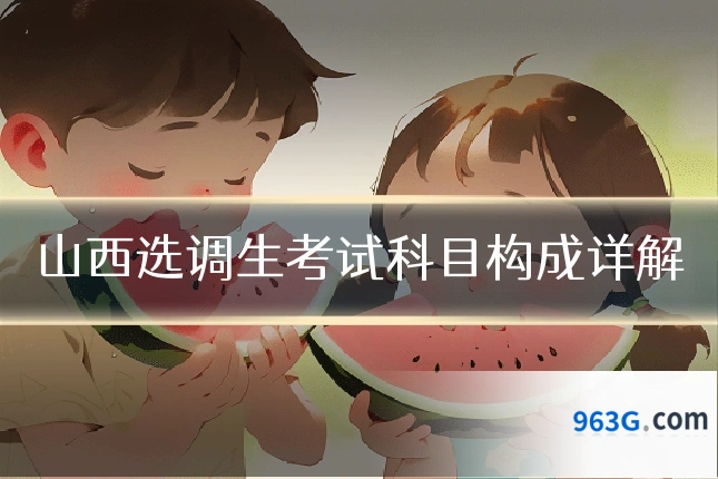山西选调生考试科目构成详解