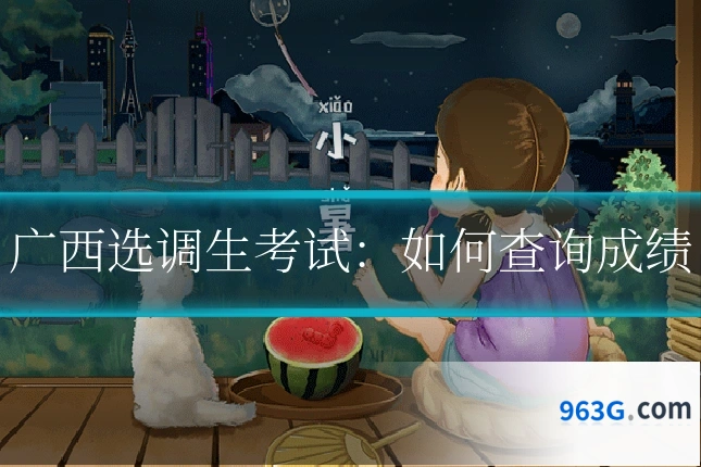 广西选调生考试：如何查询成绩