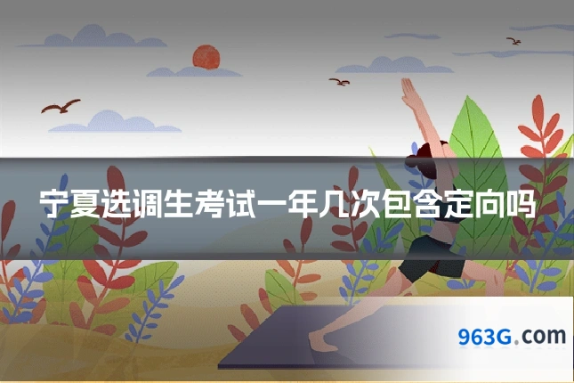 宁夏选调生考试一年几次包含定向吗