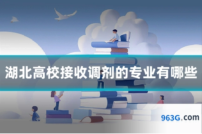 湖北高校接收调剂的专业有哪些