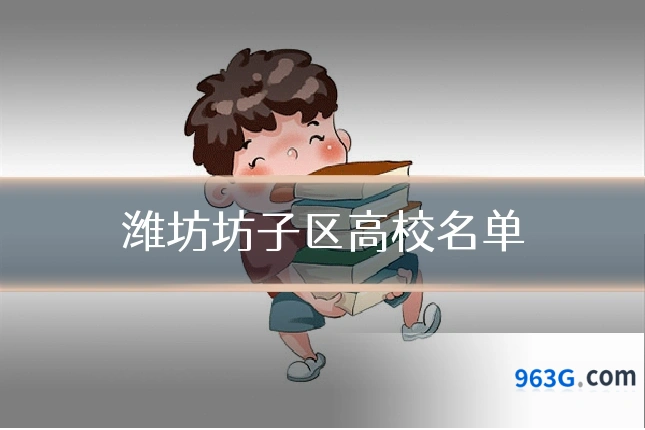 潍坊坊子区高校名单