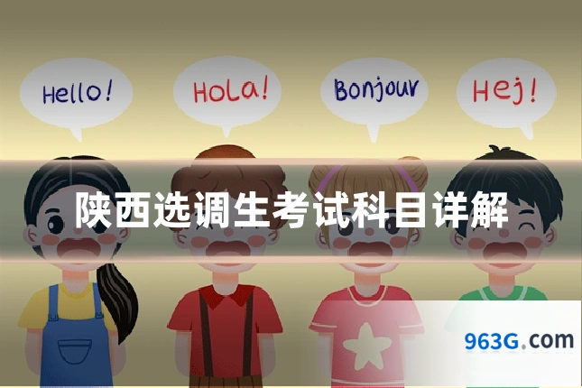 陕西选调生考试科目详解