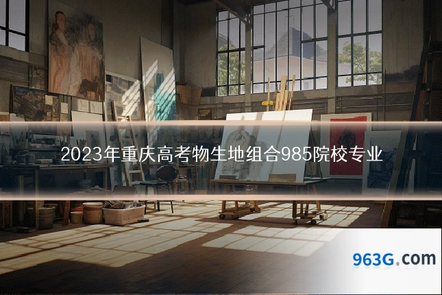 2023年重庆高考物生地组合985院校专业