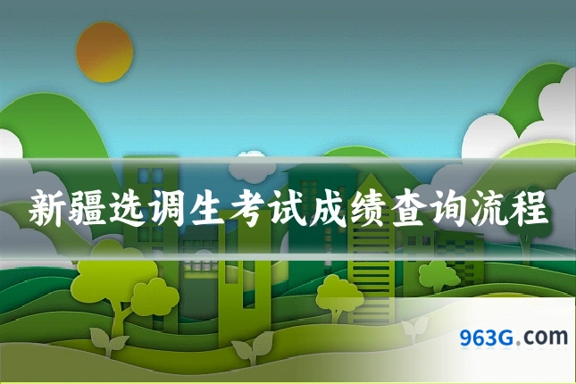 新疆选调生考试成绩查询流程