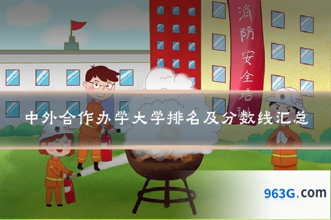中外合作办学大学排名及分数线汇总