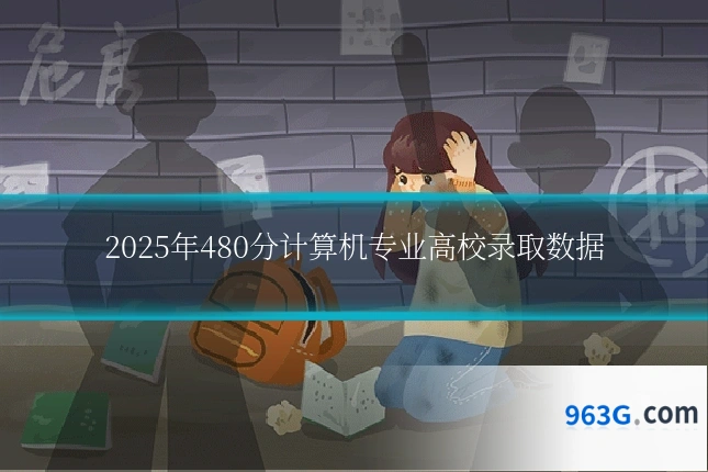 2025年480分计算机专业高校录取数据