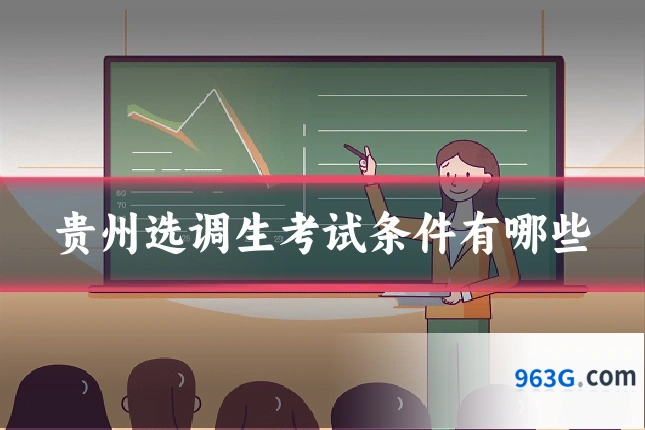 贵州选调生考试条件有哪些