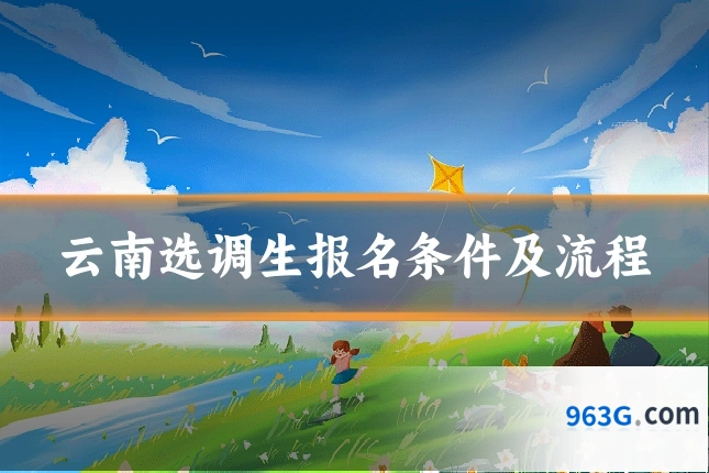 云南选调生报名条件及流程