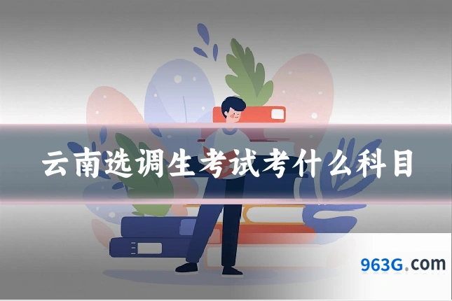 云南选调生考试考什么科目